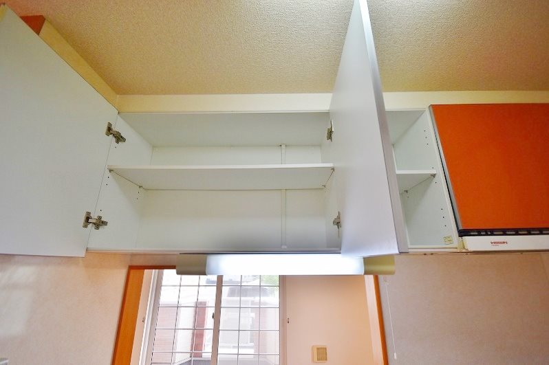 クリスマスローズⅡ その他11