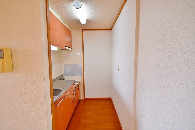 クリスマスローズⅡ その他13