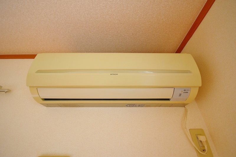 クリスマスローズⅡ その他17