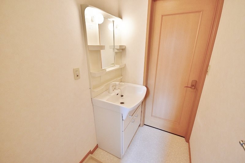 クリスマスローズⅡ その他19