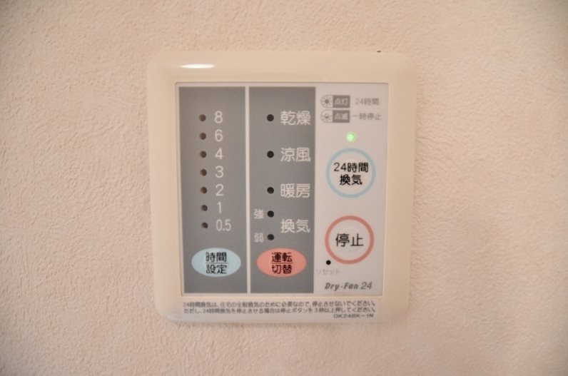 クリスマスローズⅡ その他20