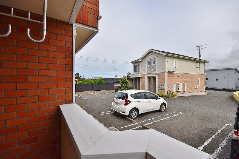 クリスマスローズⅡ その他29