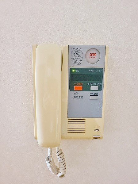 フィオレンティーナ  その他3