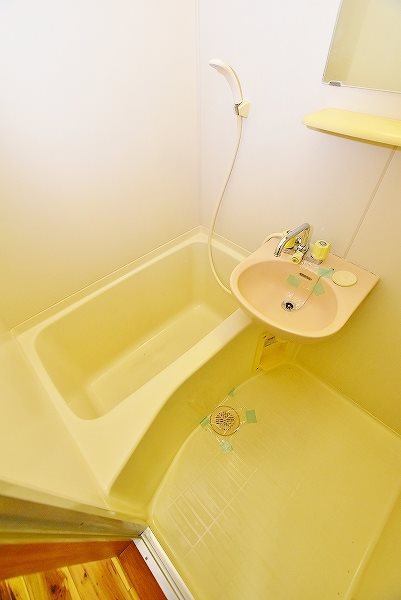 ヤンググレイス若園 その他1