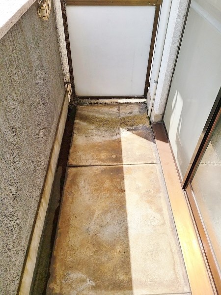 ビブレ江南  その他28