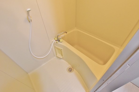 ベルガ中津口 その他14