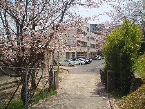 シャーメゾン華みずき 周辺画像4