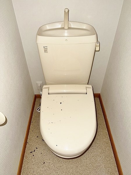 イマージュＭ　C棟 その他15