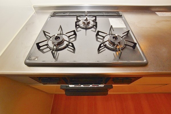 ルミナス須賀 その他17