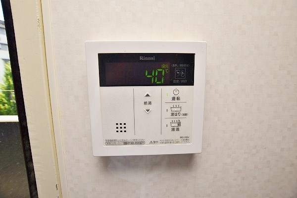 フェルト１７１３ その他29