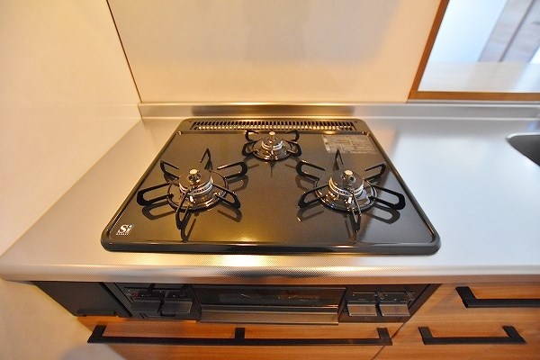 ＰＲＥＭＩＡＧＥ緑ヶ丘Ⅱ(プレミアージュ緑ヶ丘Ⅱ)   その他21