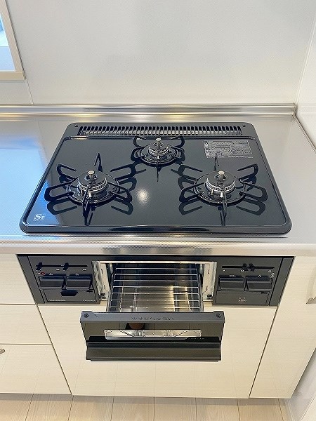 ERUZA GLANZ中津口（エルザグランツ中津口）  その他21