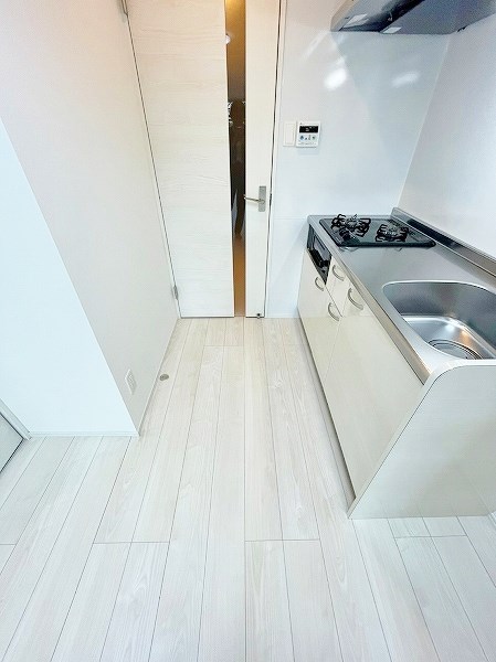 ERUZAGLANZ黄金（エルザグランツ黄金） その他16