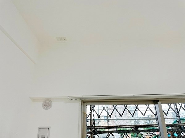 ERUZAGLANZ黄金（エルザグランツ黄金） その他26