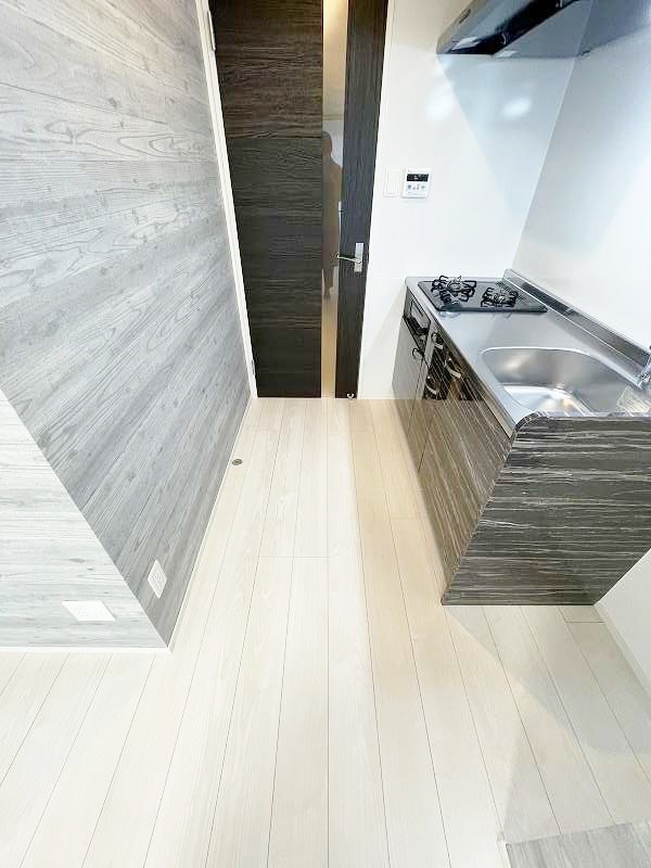 ERUZAGLANZ黄金（エルザグランツ黄金） その他16