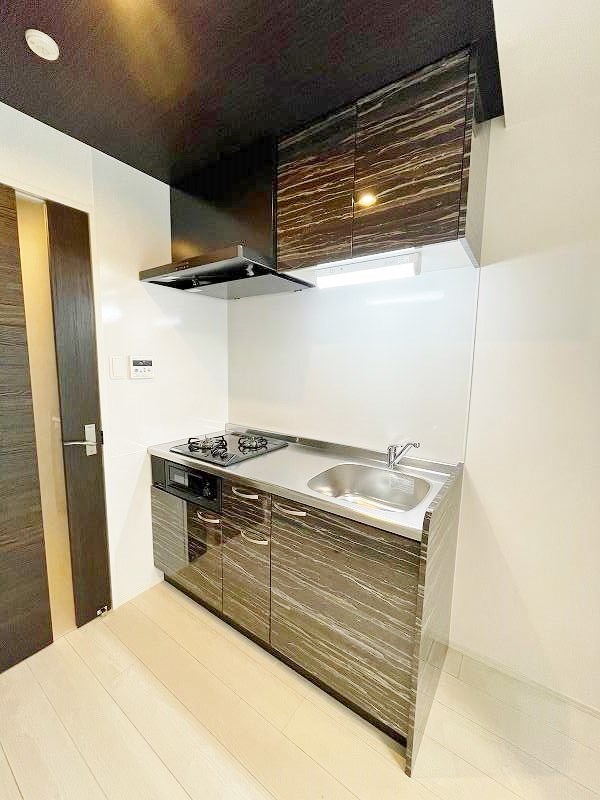 ERUZAGLANZ黄金（エルザグランツ黄金） その他17