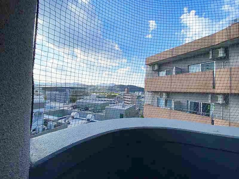 ＲＯＹＡＬ　ＰＡＬＡＣＥ（ロイヤルパレス） その他38