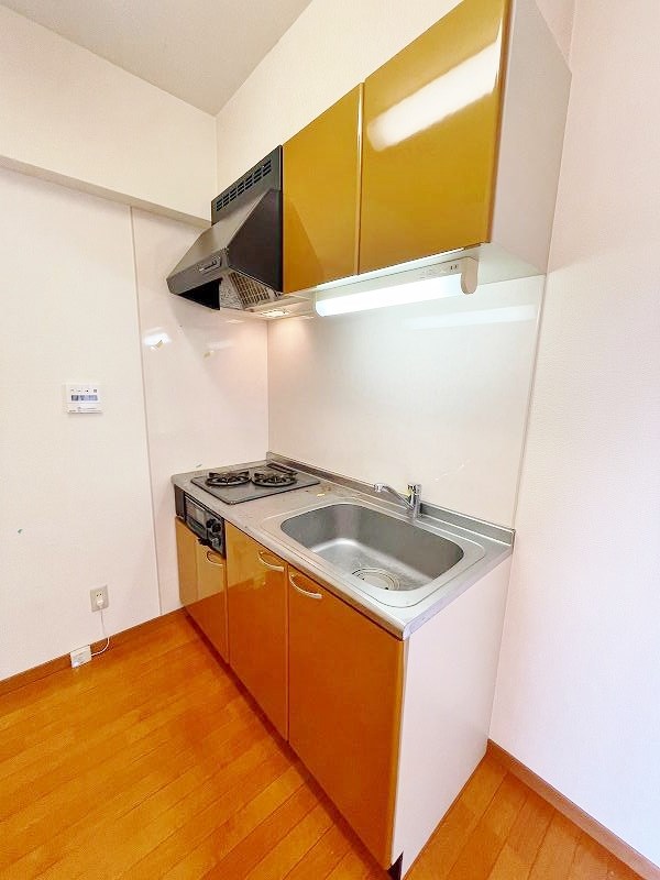 ＳＵＮＳＨＩＮＥⅡ（サンシャインⅡ ） その他21