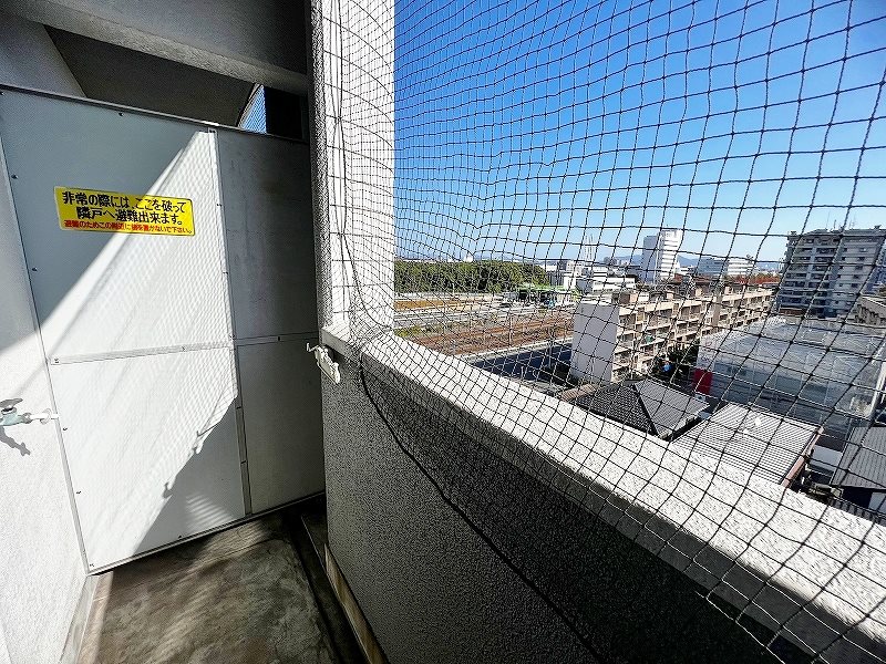 ロイヤルビップ その他34