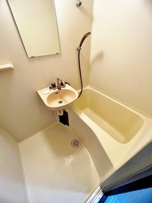 ロイヤルビップ 風呂画像