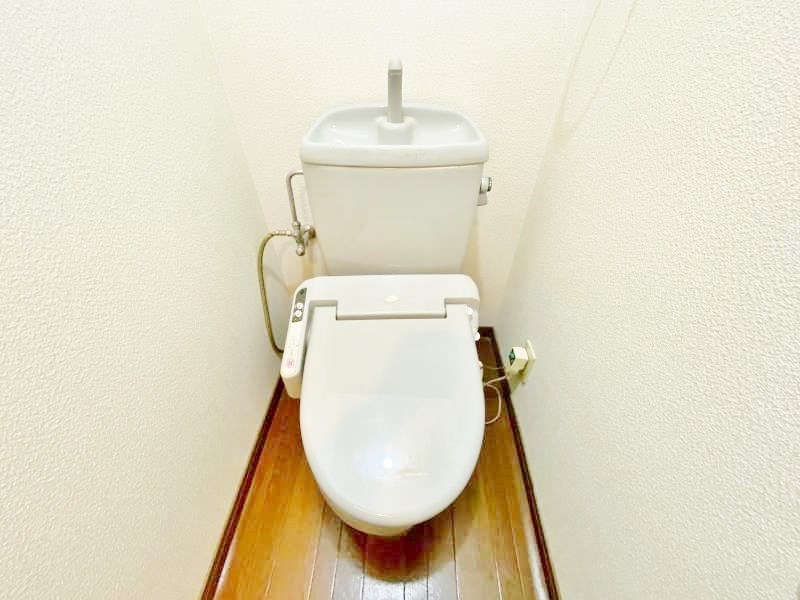 ロイヤルエレガンス その他12