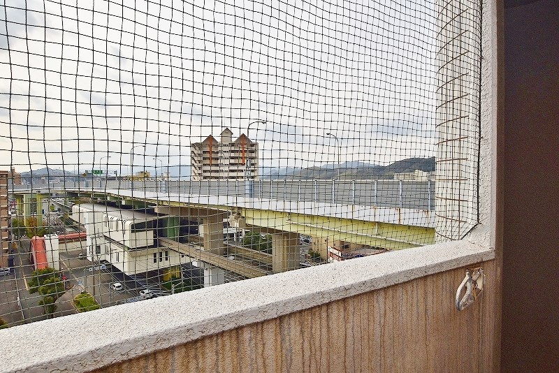 ロイヤルセンチュリー その他25