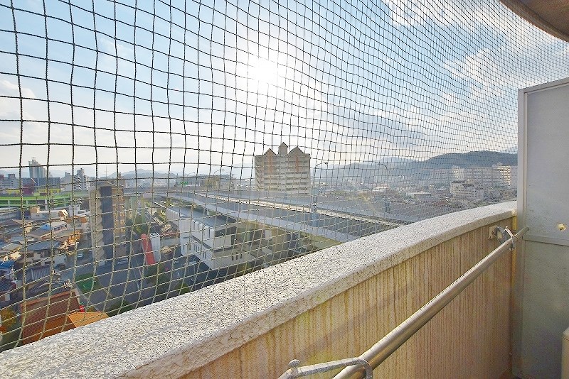 ロイヤルセンチュリー その他25