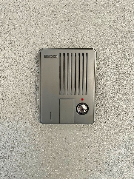 ERUZA GLANZ黄金（エルザグランツ黄金） その他10