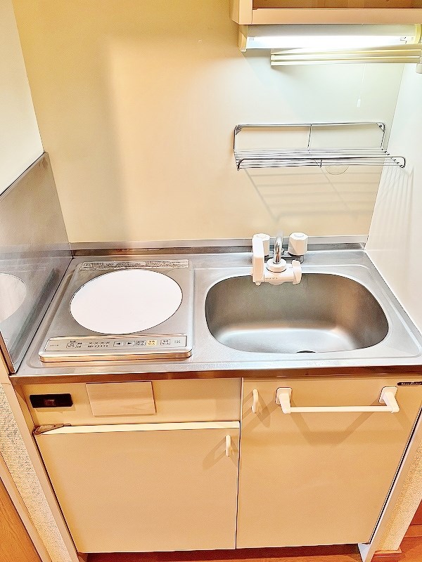 ダイナコート小倉下到津Ⅱ(分譲賃貸) キッチン