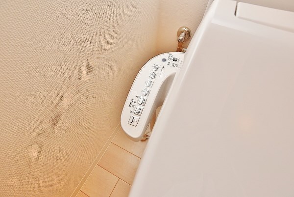 ヴェルジュ菅原 その他13