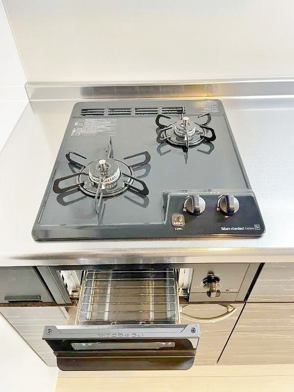 ERUZA GLANZ黄金（エルザグランツ黄金） その他21