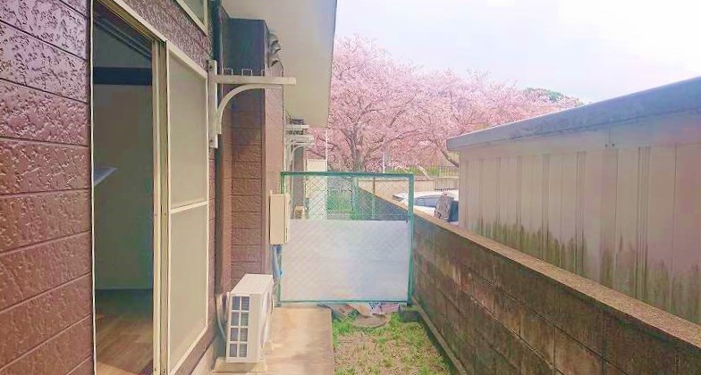 アクティブ徳力　 その他40