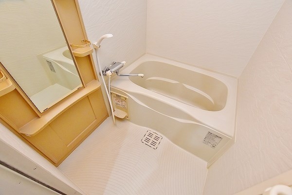 ＬＥＡＤ大手町（リード大手町）  風呂画像