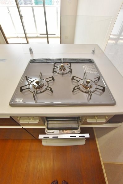 ギャラクシーヴィーラブライト  その他28