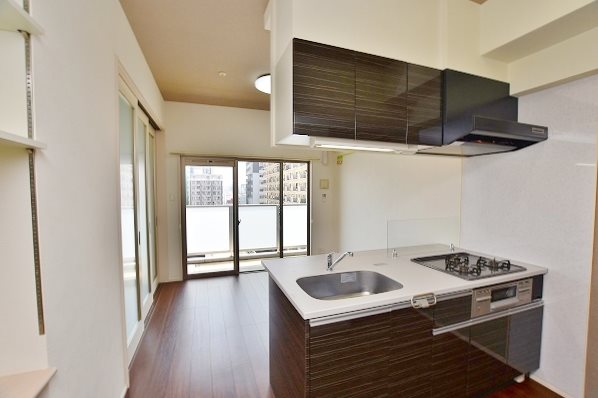 ギャラクシーヴィーラブライト  その他31