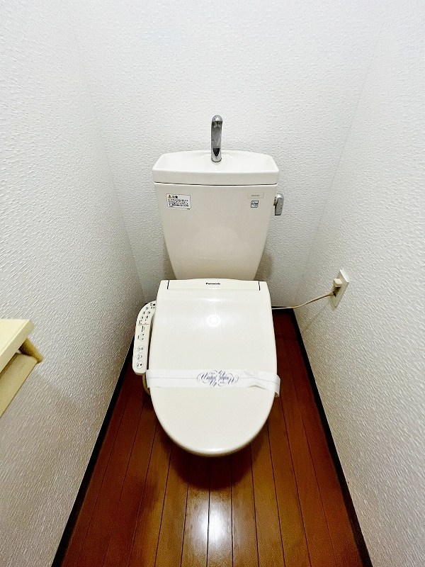 ソフィア  その他11