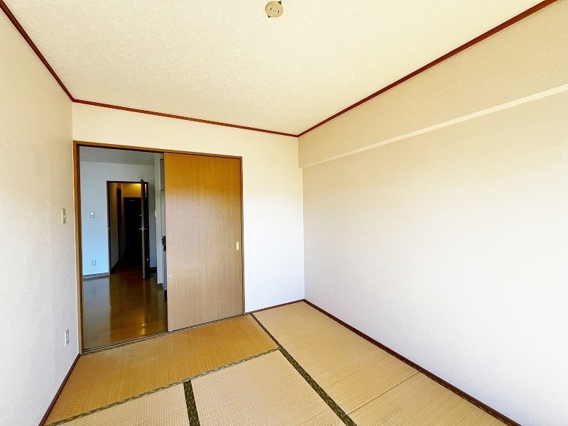 ソフィア  その他40