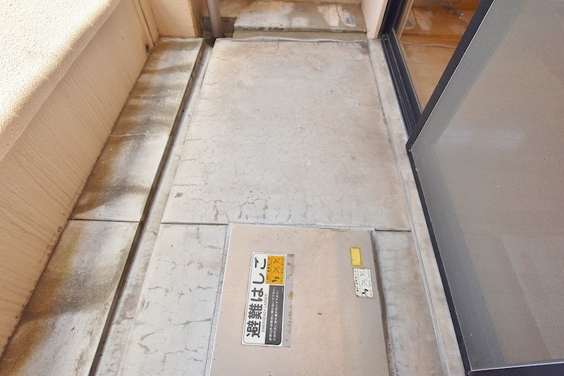 Ｆｏｒｏ　Ｒｏｍａｎｏ（フォロロマーノ） その他39