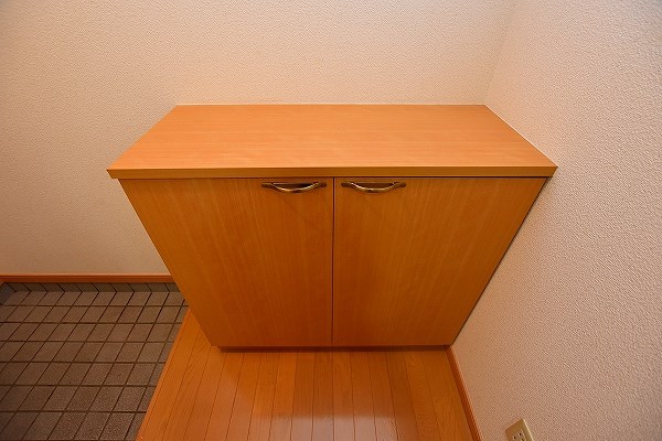 ニシキグレイス浅野 その他12