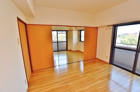 ニシキグレイス浅野 その他20