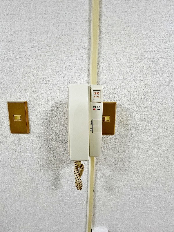 ルミナス その他3