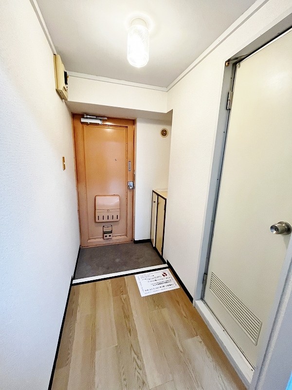 ルミナス その他12