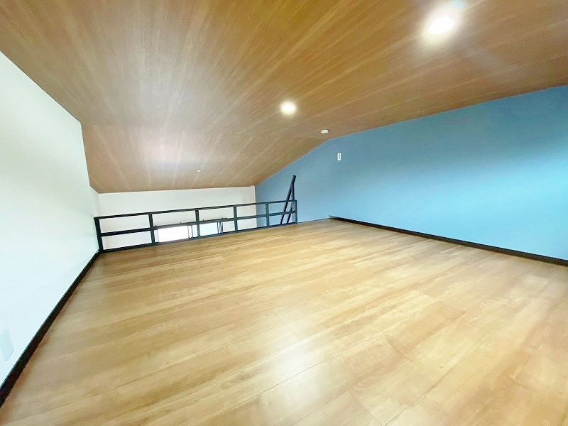 garaxia３８５(ガレッシア385)  その他30