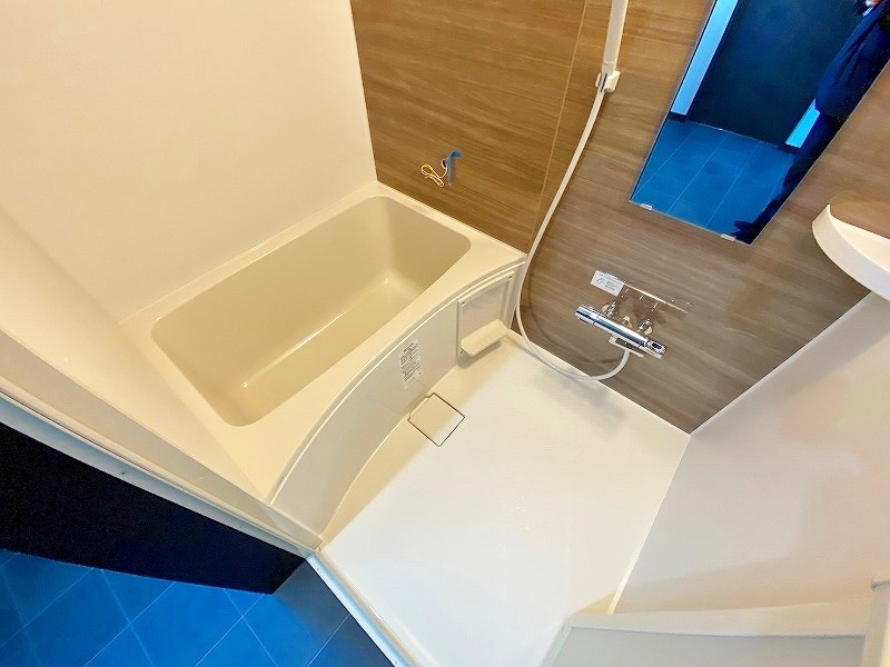 garaxia３８５(ガレッシア385)  その他29