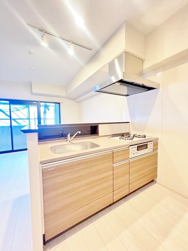 LEGEND　TAKAMI(レジェンド高見)　S棟  キッチン