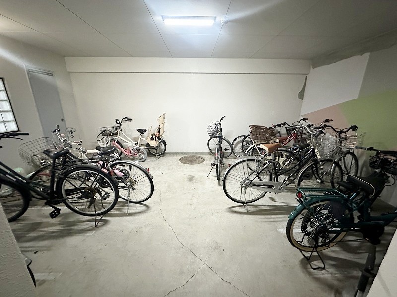 デニエ守恒 その他外観6