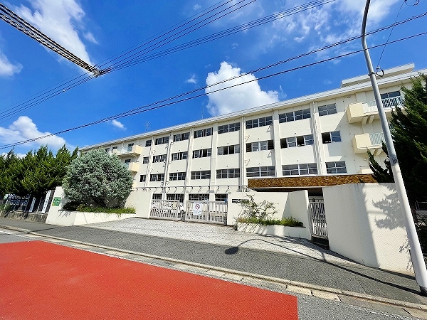 デニエ守恒 周辺画像7