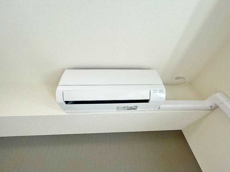 CITRUS　TREE（シトラスツリー） その他27