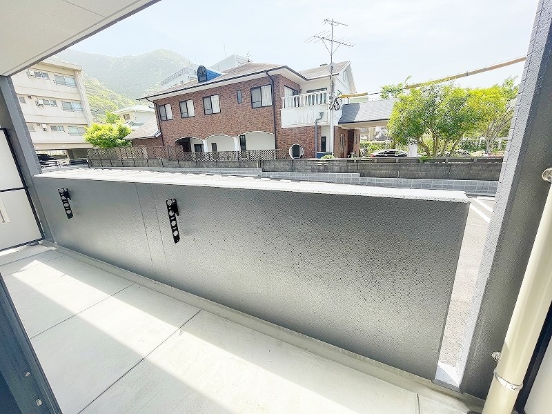 CITRUS　TREE（シトラスツリー） その他41