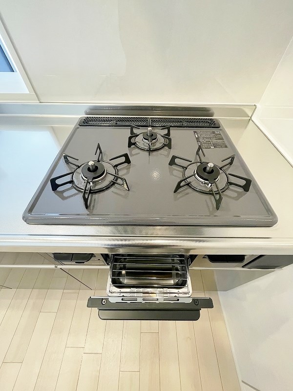 CITRUS　TREE（シトラスツリー） その他22